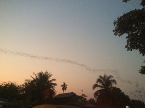 img_3438